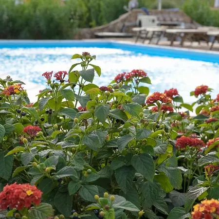 Capannizza Willa Budoni