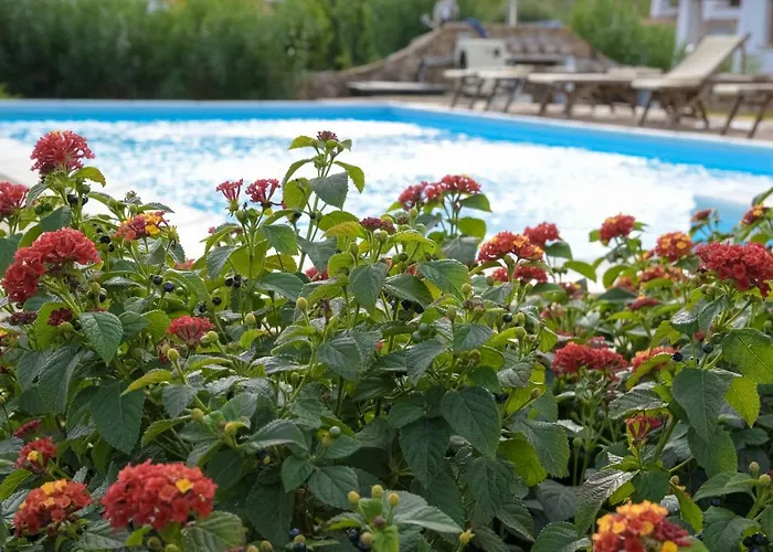 Capannizza Villa Budoni